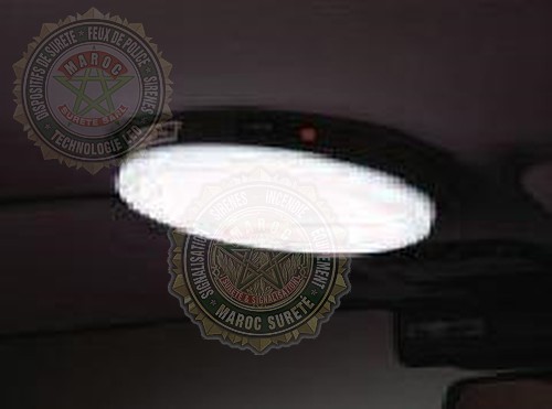 Dome Light Incandescent Bulb PDMLTB10